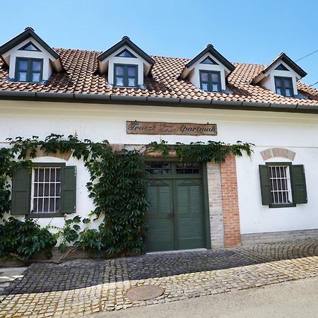 Troszt Pince Apartman Villány Kültér fotó
