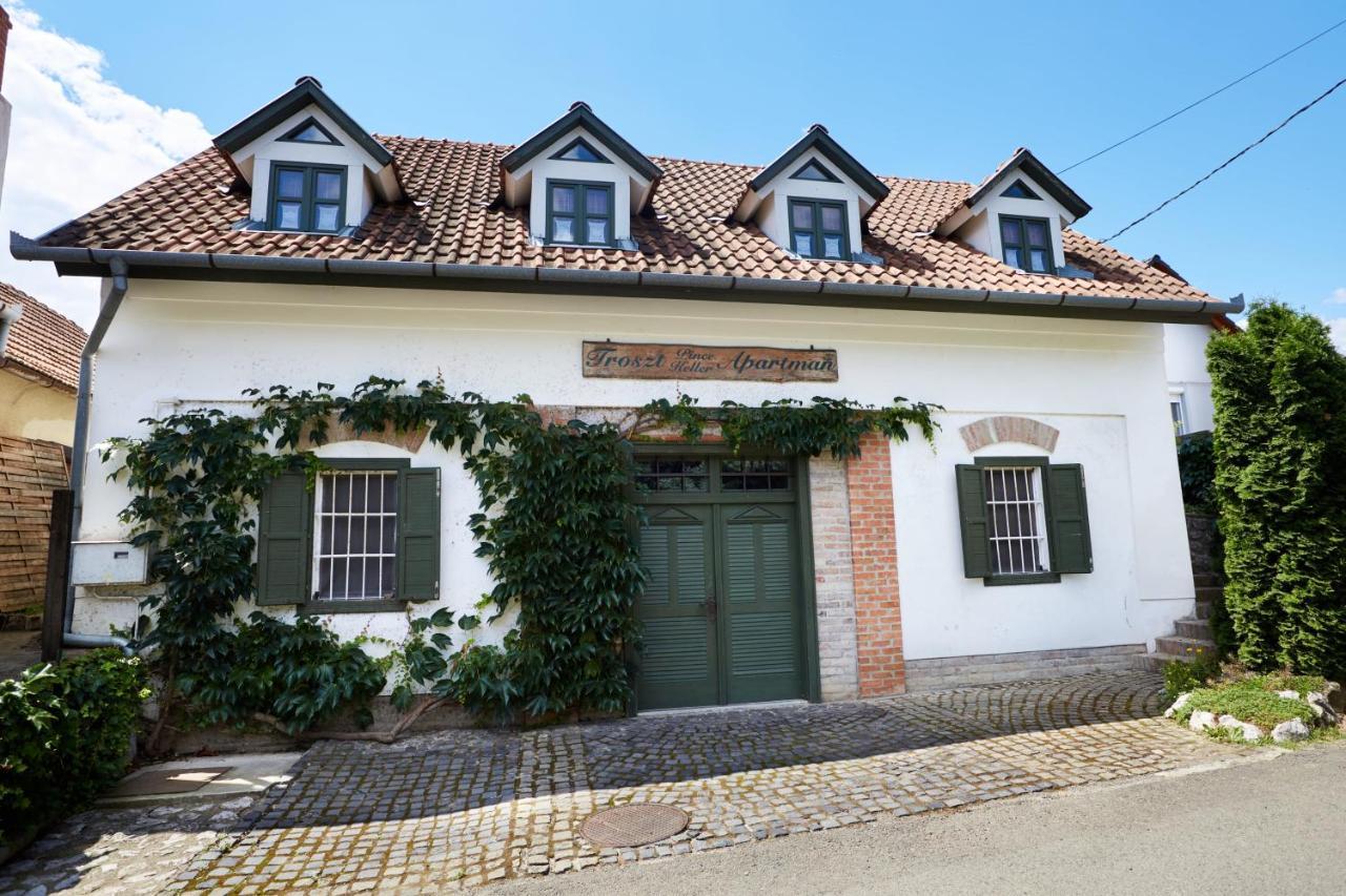 Troszt Pince Apartman Villány Kültér fotó